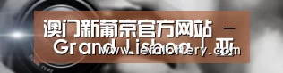 公司动态
