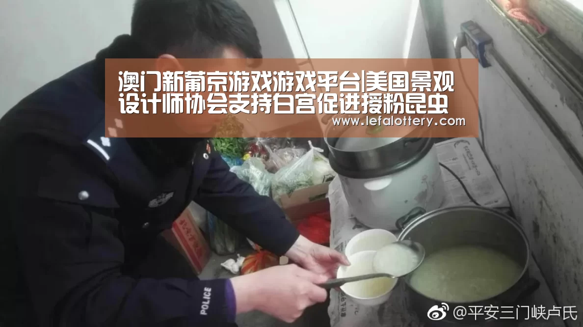 澳门新葡京游戏官网