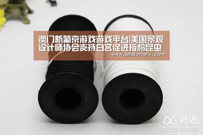 澳门新葡京游戏官网
