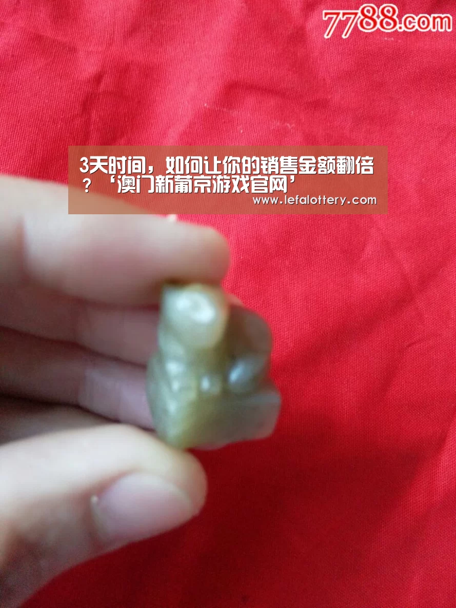 澳门新葡京游戏官网